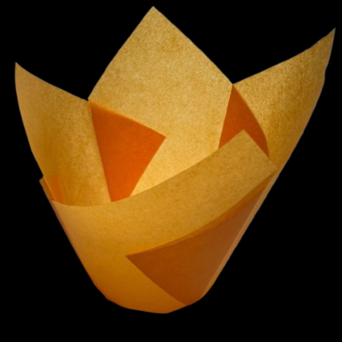 GENERICO - Tulipa Para Muffin Damasco 50 un