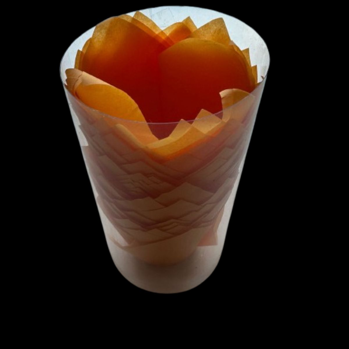 GENERICO - Tulipa Para Muffin Damasco 50 un