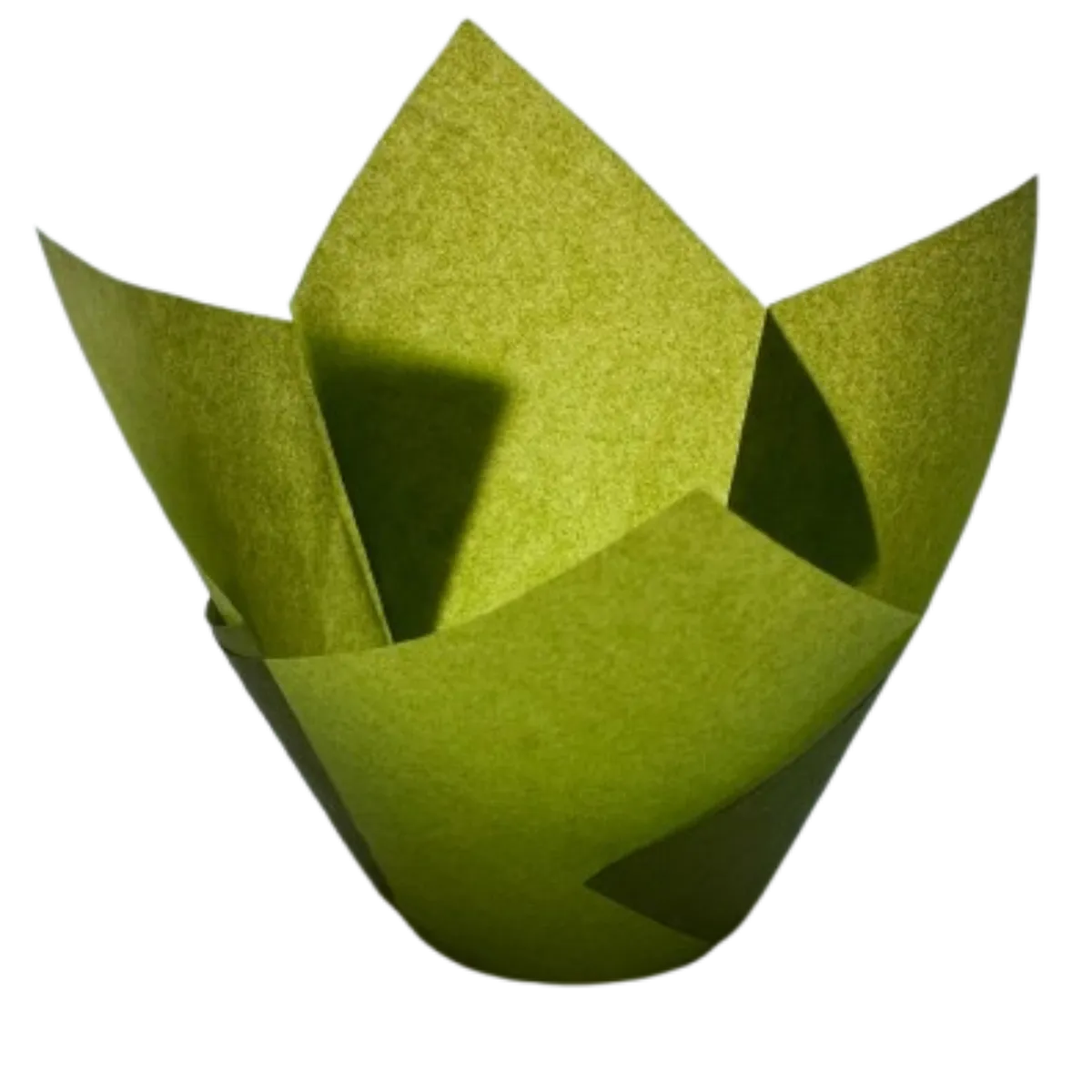 GENERICO - Tulipa Para Muffin Verde 50 un