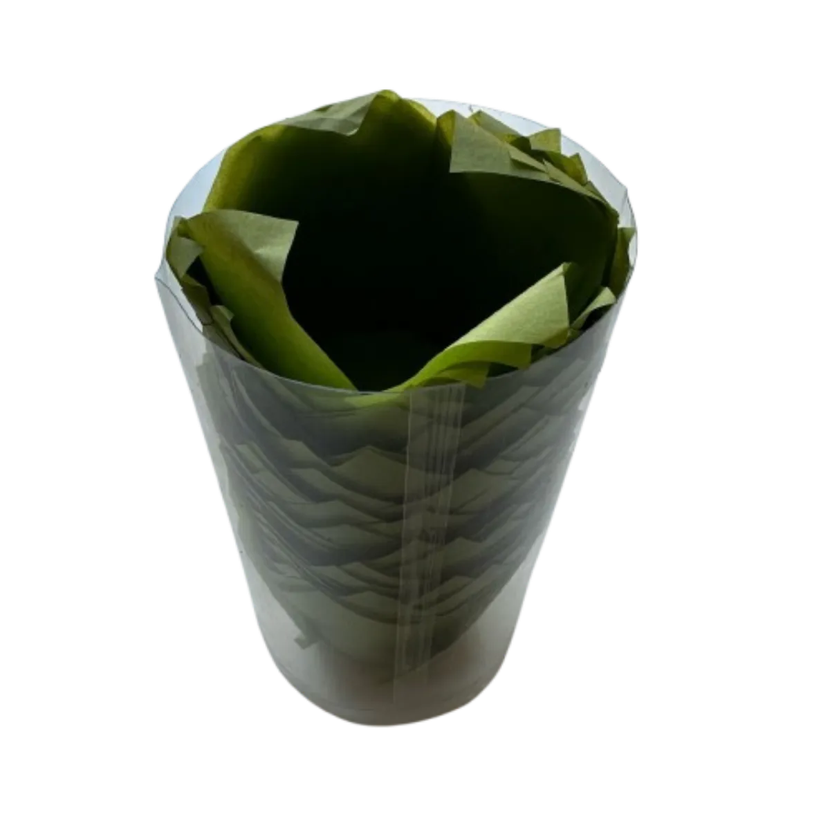 GENERICO - Tulipa Para Muffin Verde 50 un