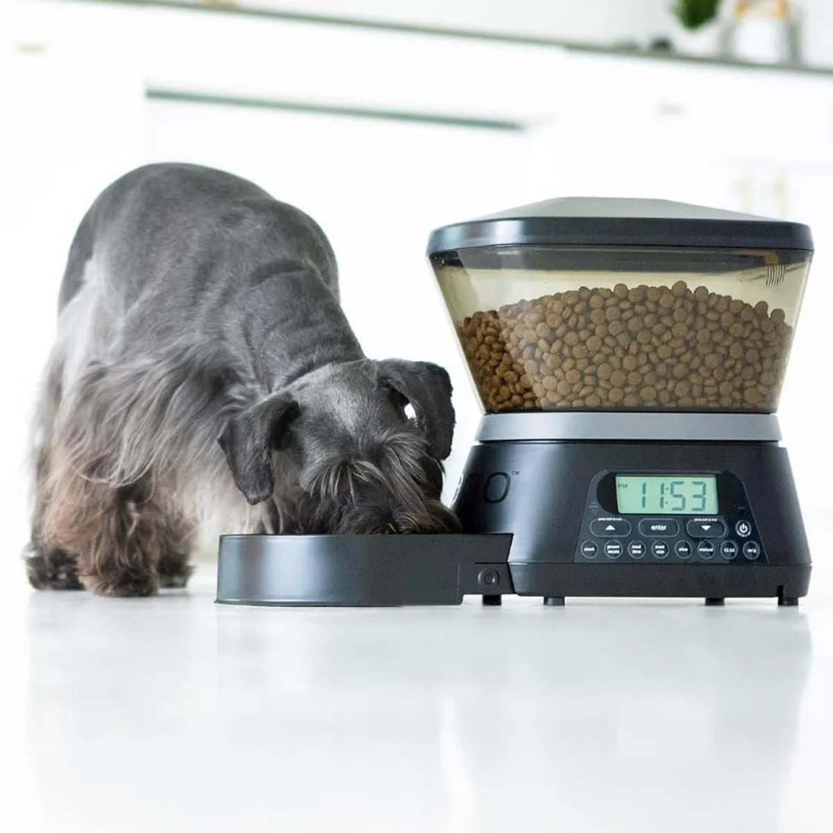 GENERICO - Dispensador De Alimentos Para Mascotas Automático