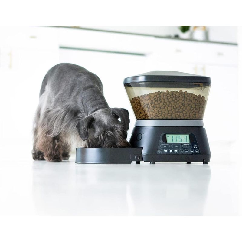 GENERICO - Dispensador De Alimentos Para Mascotas Automático