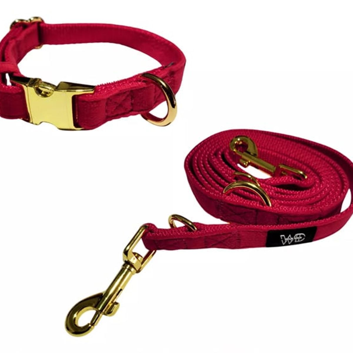 GENERICO - Collar Premium Y Correa Para Perro XS - Wild Dog