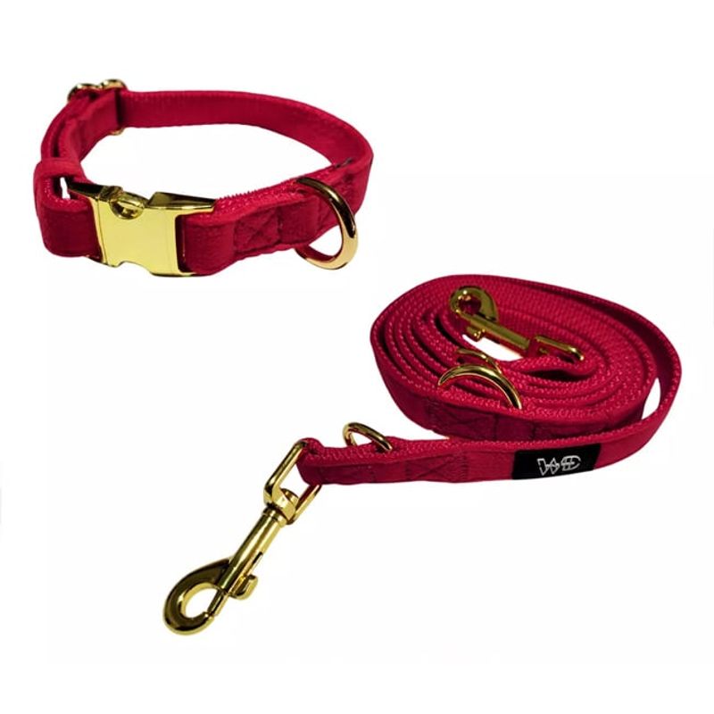 GENERICO - Collar Premium Y Correa Para Perro XS - Wild Dog