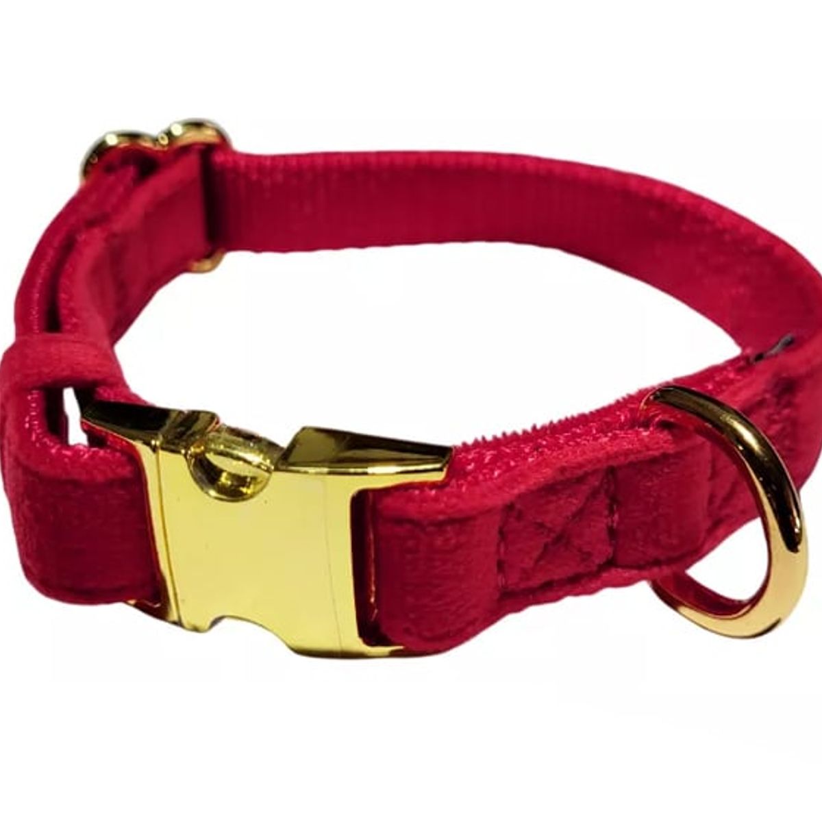 GENERICO - Collar Premium Y Correa Para Perro XS - Wild Dog