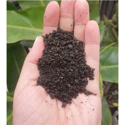 Imagen 2 del producto PIEDRA VOLCANICA NATURAL PARA SUSTRATO, TAMAÑO ARENA