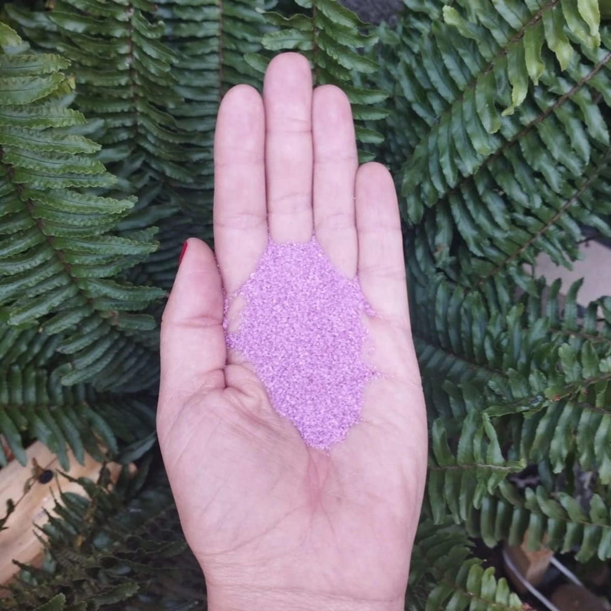 GENERICO - Arena de Cuarzo Color Morado 1 kg
