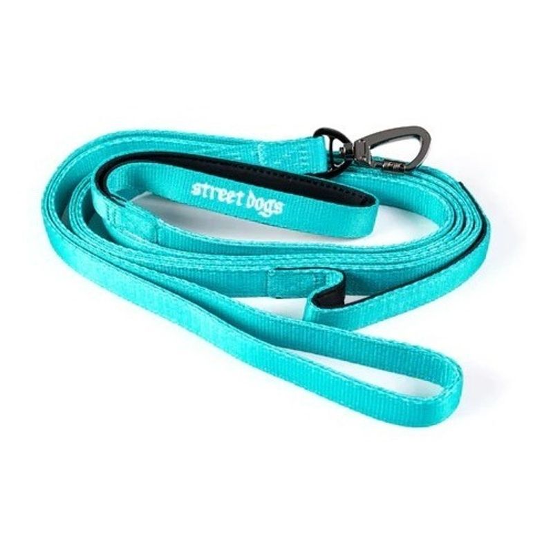 STREET DOGS - Correa de paseo para perros Street Dogs Light 5m Turquesa