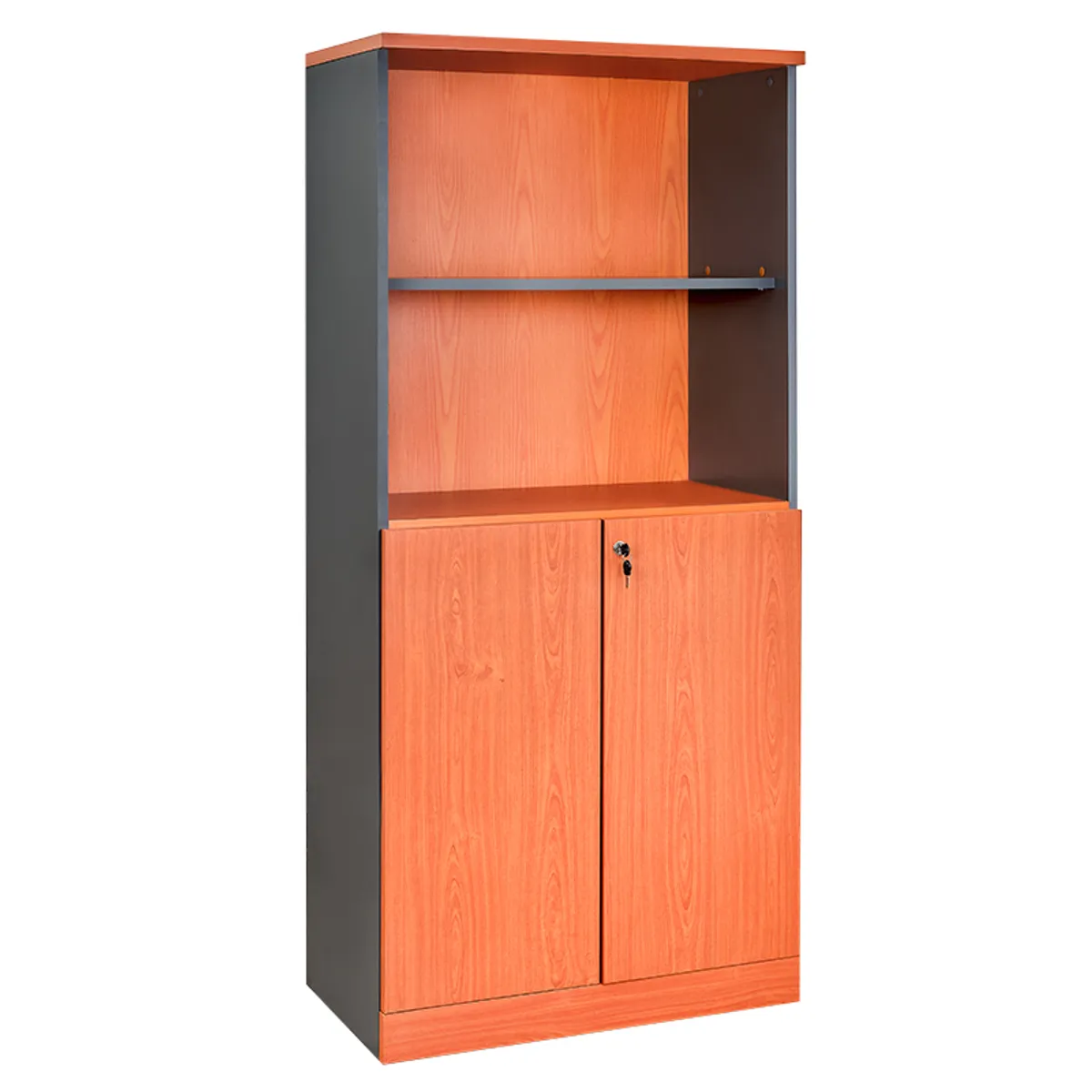 GENERICO - Estante con Puerta batiente 173 X 80 X 40 cm. Laminado Compacto.