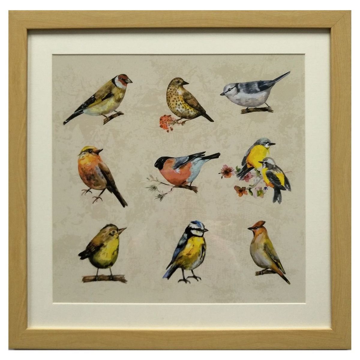 RONDA - Cuadro Lamina Conjunto Pájaros 50x50 cm