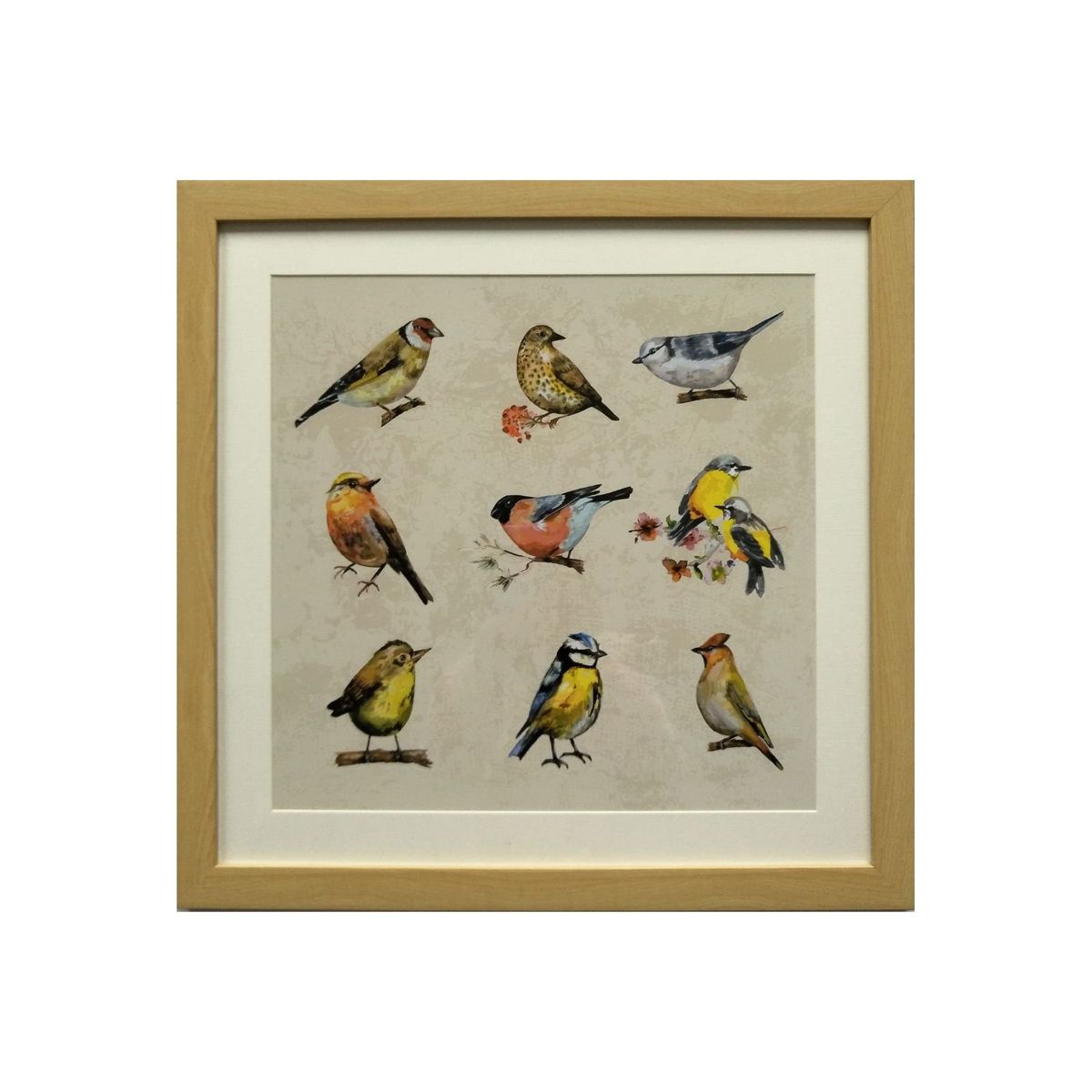 RONDA - Cuadro Lamina Conjunto Pájaros 50x50 cm