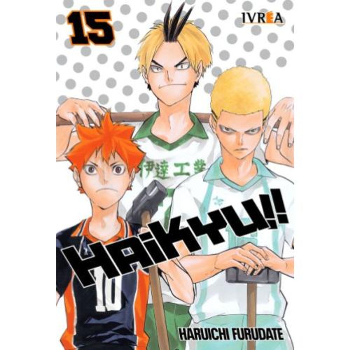 IVREA ARGENTINA - HAIKYU 15 (IVREA ARGENTINA)