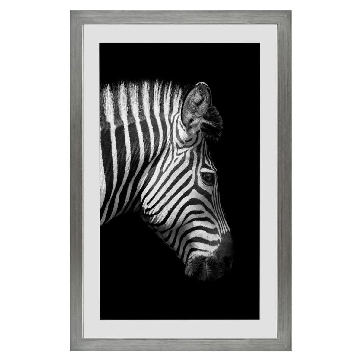 RONDA - Cuadro Lamina Zebra Fondo Negro 40x60 cm