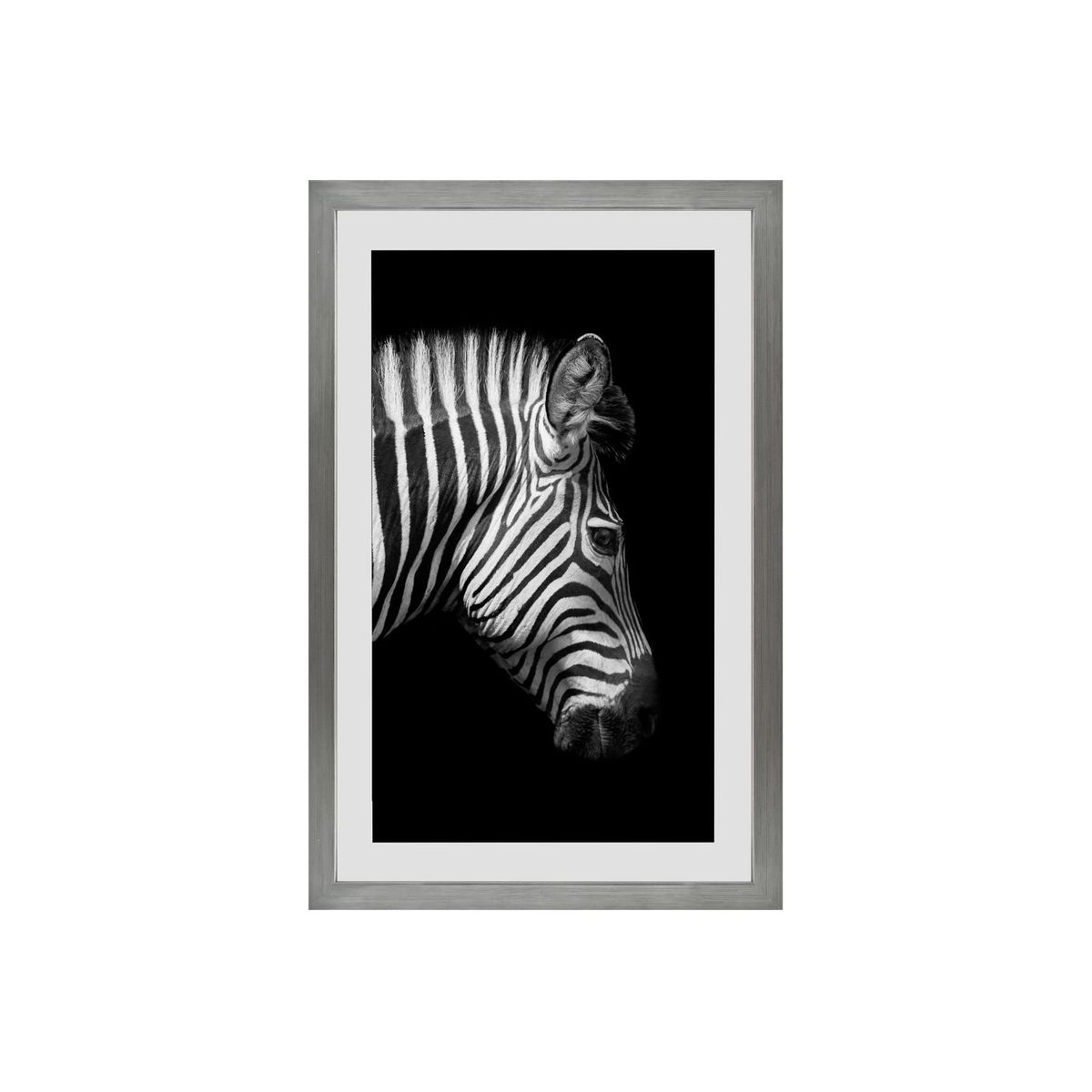 RONDA - Cuadro Lamina Zebra Fondo Negro 40x60 cm