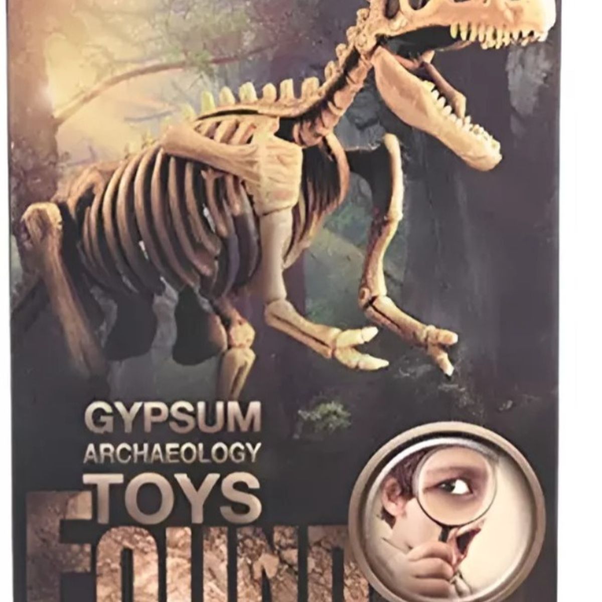 GENERICO - Jurásico Animal Dinosaurio Esqueleto Fósil Set De 5 Pcs