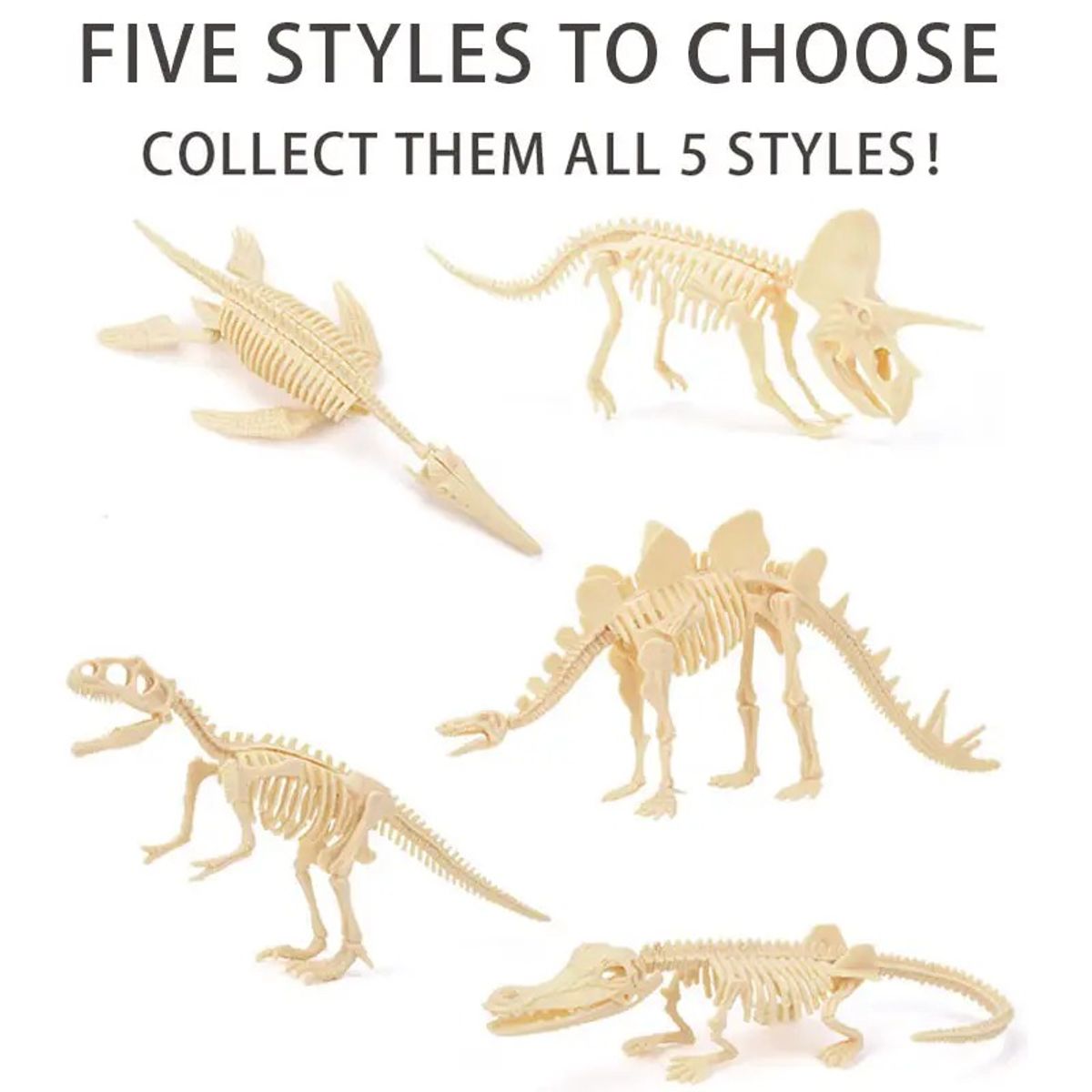 GENERICO - Jurásico Animal Dinosaurio Esqueleto Fósil Set De 5 Pcs