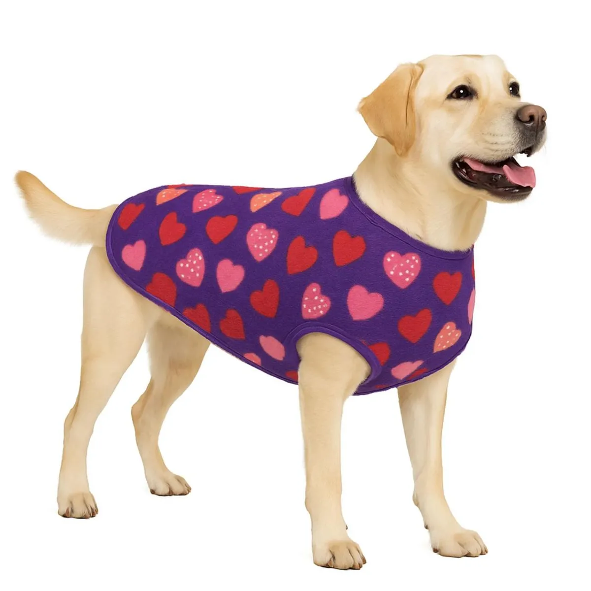 GENERICO - Capa de Polar para perro talla 6XL 73 CM Labrador, Golden - Rosa - 6XL