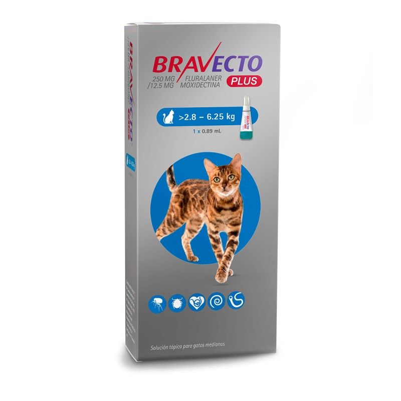 MSD - Bravecto Plus Gatos 2,8 a 6,25kg