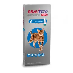 MSD - Bravecto Plus Gatos 2,8 a 6,25kg
