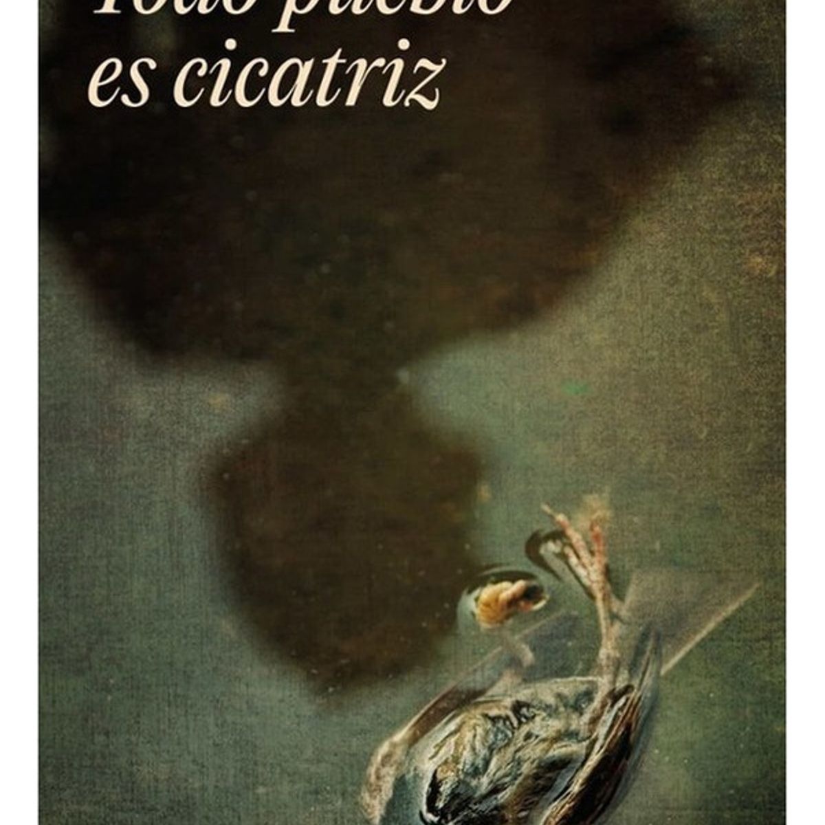 LITERATURA RANDOM HOUSE - Todo Pueblo Es Cicatriz