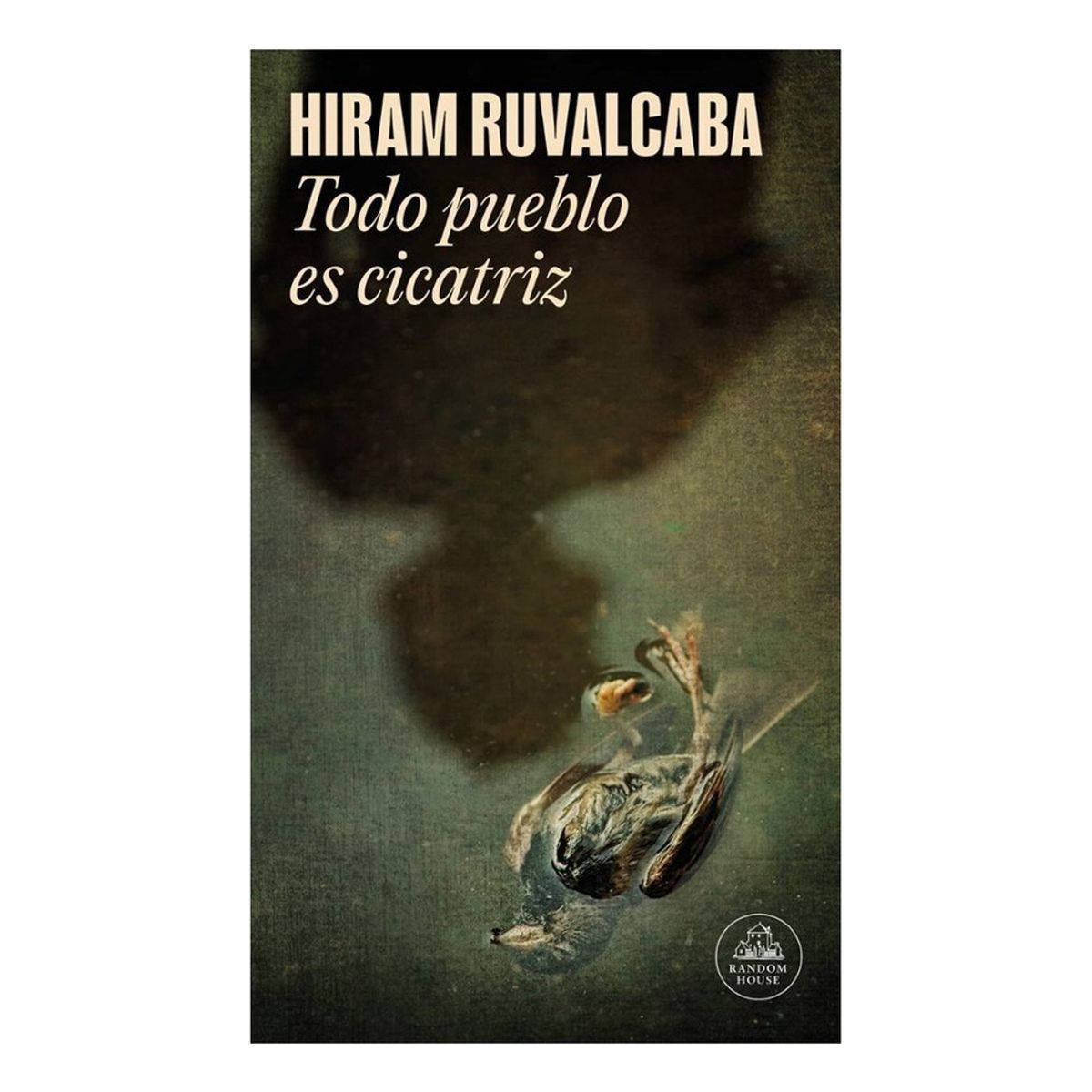 LITERATURA RANDOM HOUSE - Todo Pueblo Es Cicatriz