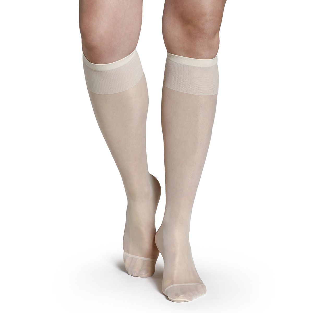 MONARCH - Minimedia Uso Diario Gatsby Monarch