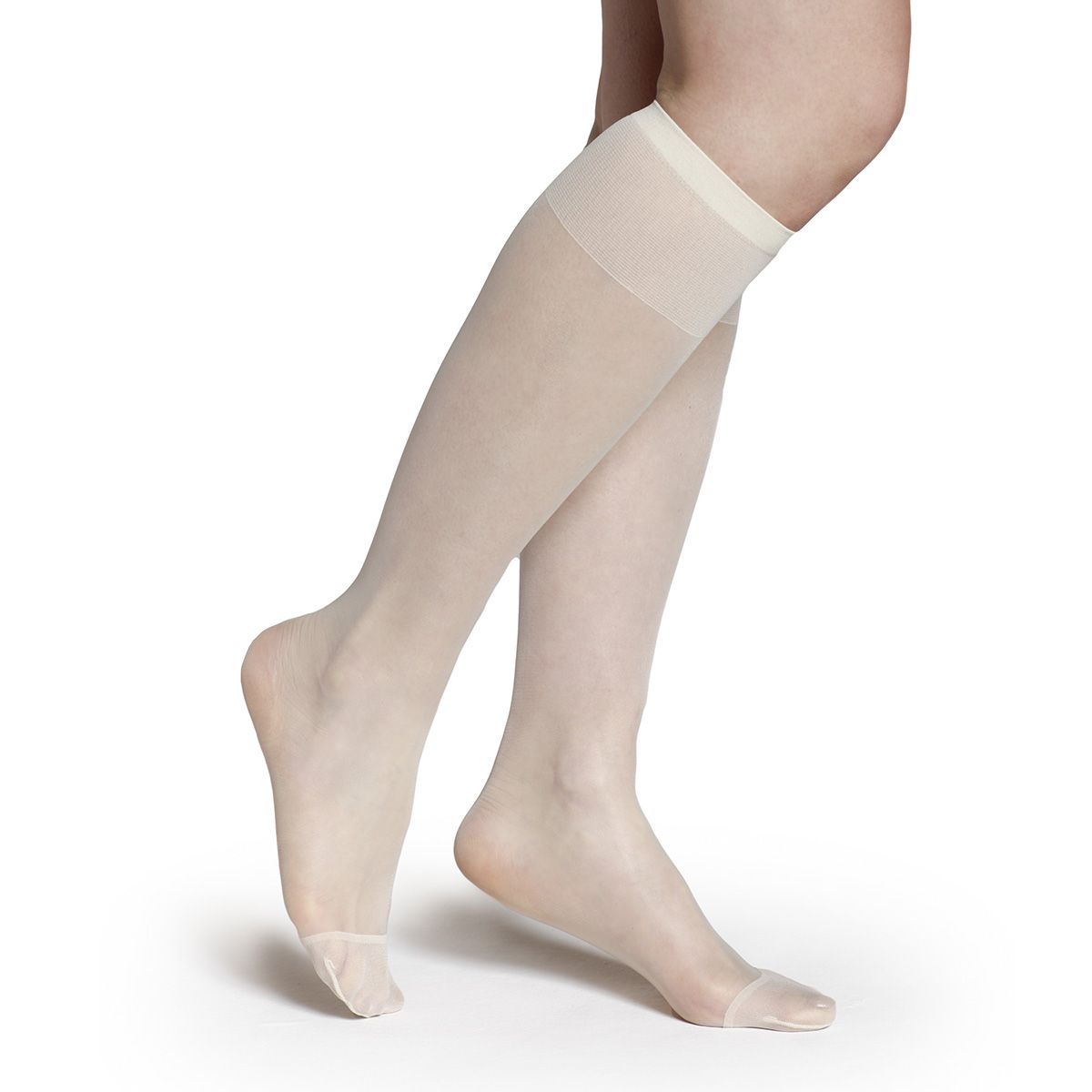 MONARCH - Minimedia Uso Diario Gatsby Monarch