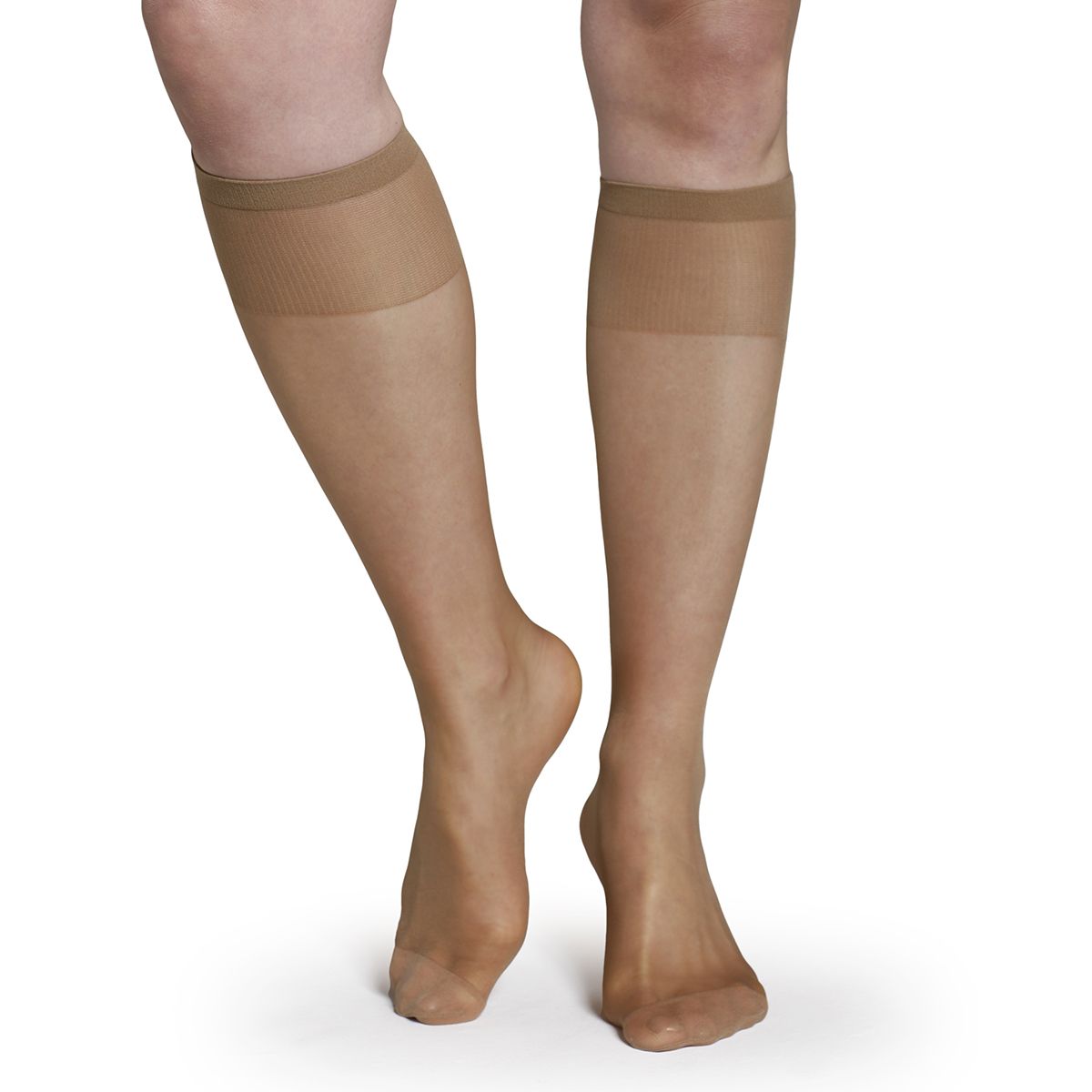 MONARCH - Minimedia Uso Diario Damasco Monarch