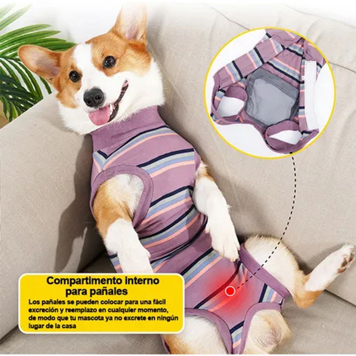 EDWINAYY - Body Cobre Post-operatorio-tradicional-talla S-l 2-125kg