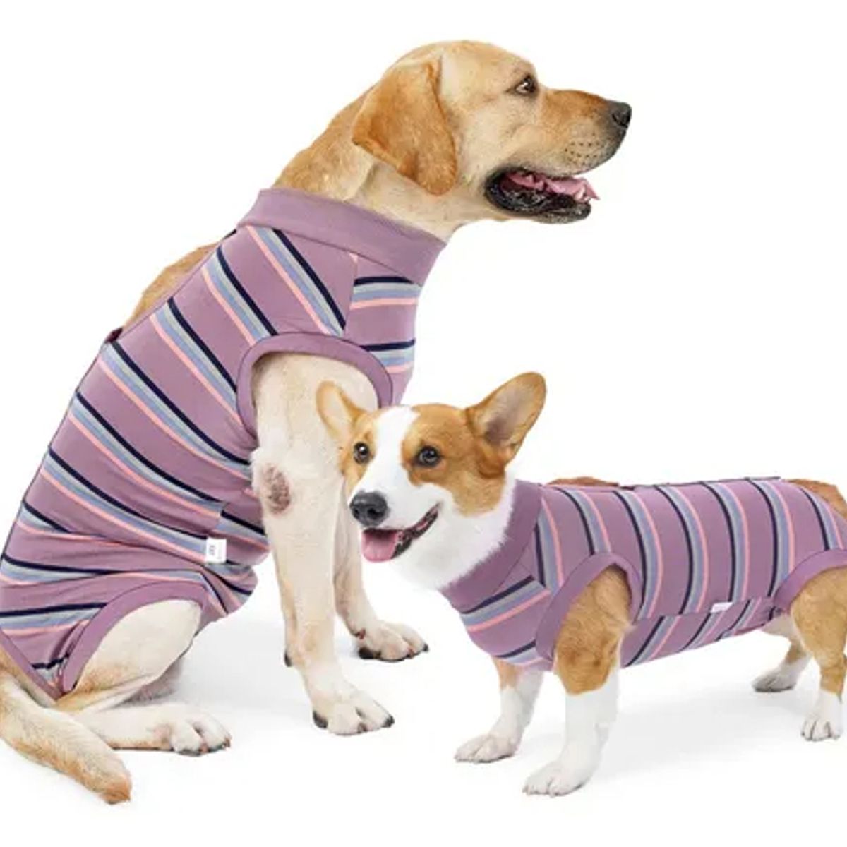 EDWINAYY - Body Cobre Post-operatorio-tradicional-talla S-l 2-125kg