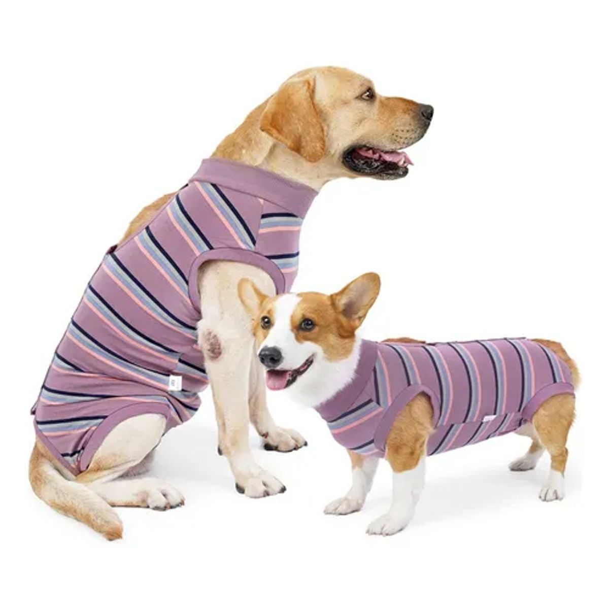 EDWINAYY - Body Cobre Post-operatorio-tradicional-talla S-l 2-125kg