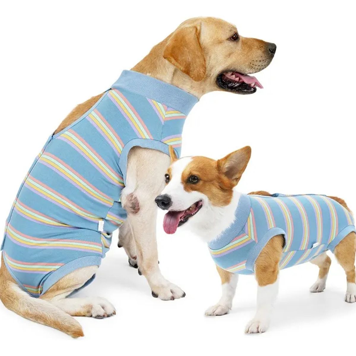 EDWINAYY - Body Cobre Post-operatorio-tradicional-talla S-l 2-125kg