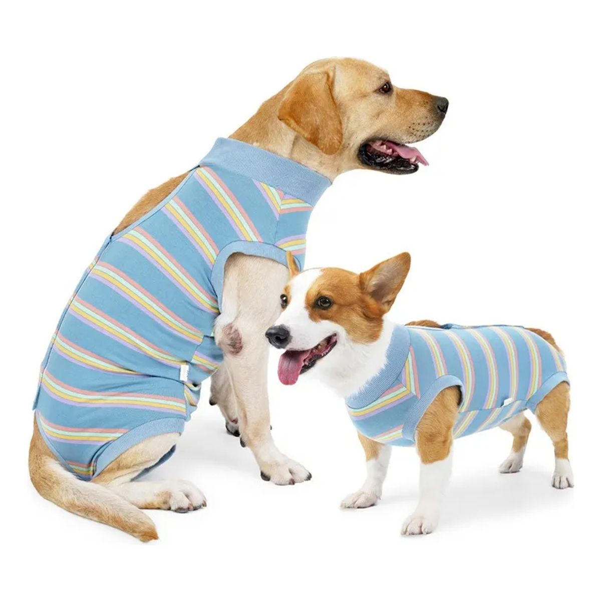 EDWINAYY - Body Cobre Post-operatorio-tradicional-talla S-l 2-125kg