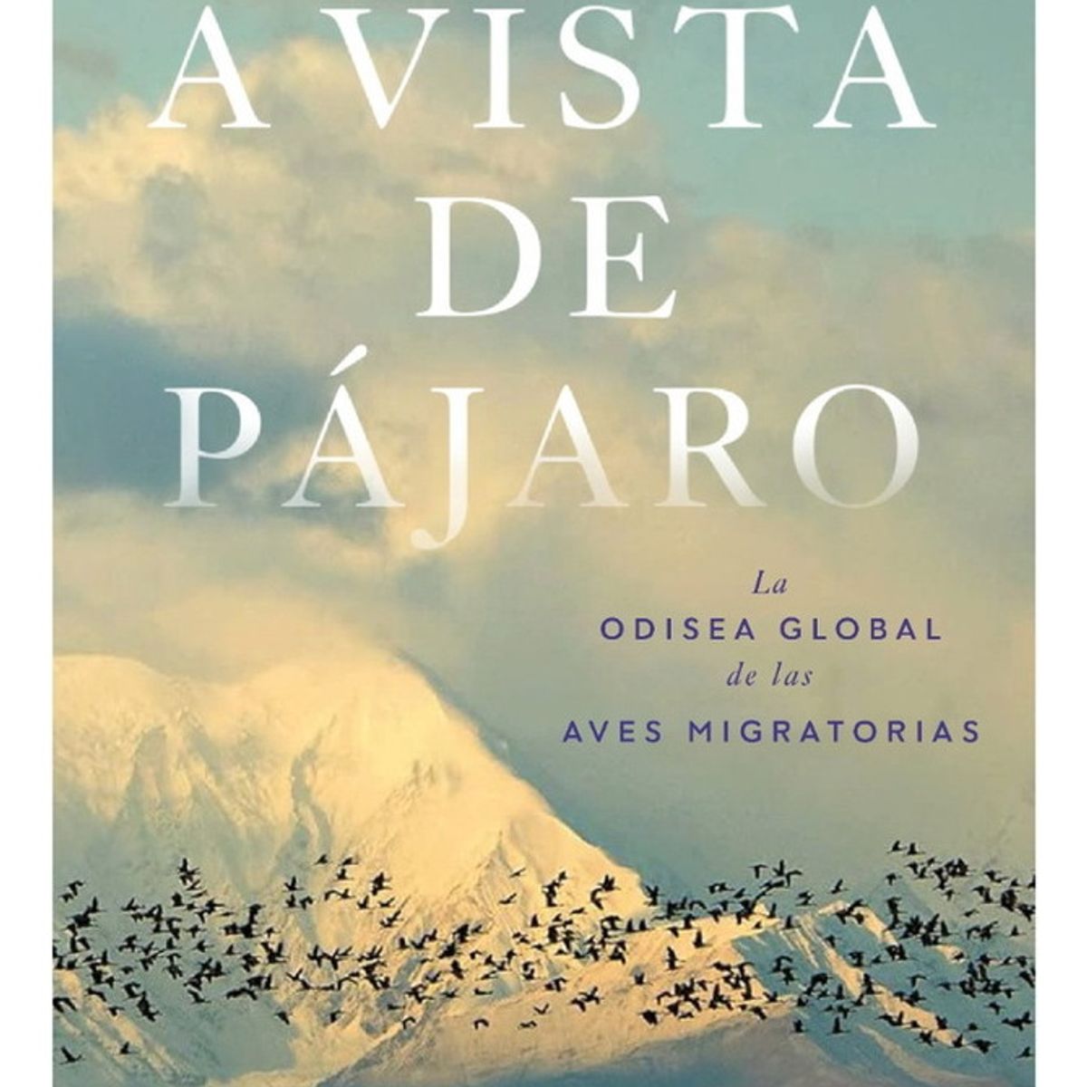 DEBATE - A Vista De Pajaro - Weidensaul, Scott