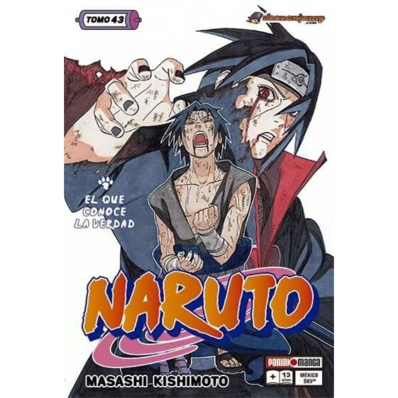 PANINI CHILE - Naruto N°43 - El Que Conoce La Verdad