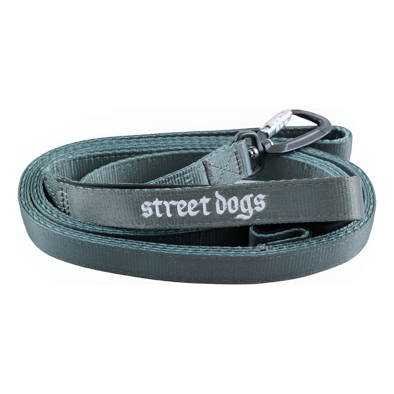 STREET DOGS - Correa Perro Mosquetón Automático Street Dogs 5m Gris