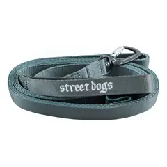 STREET DOGS - Correa Perro Mosquetón Automático 5m Gris