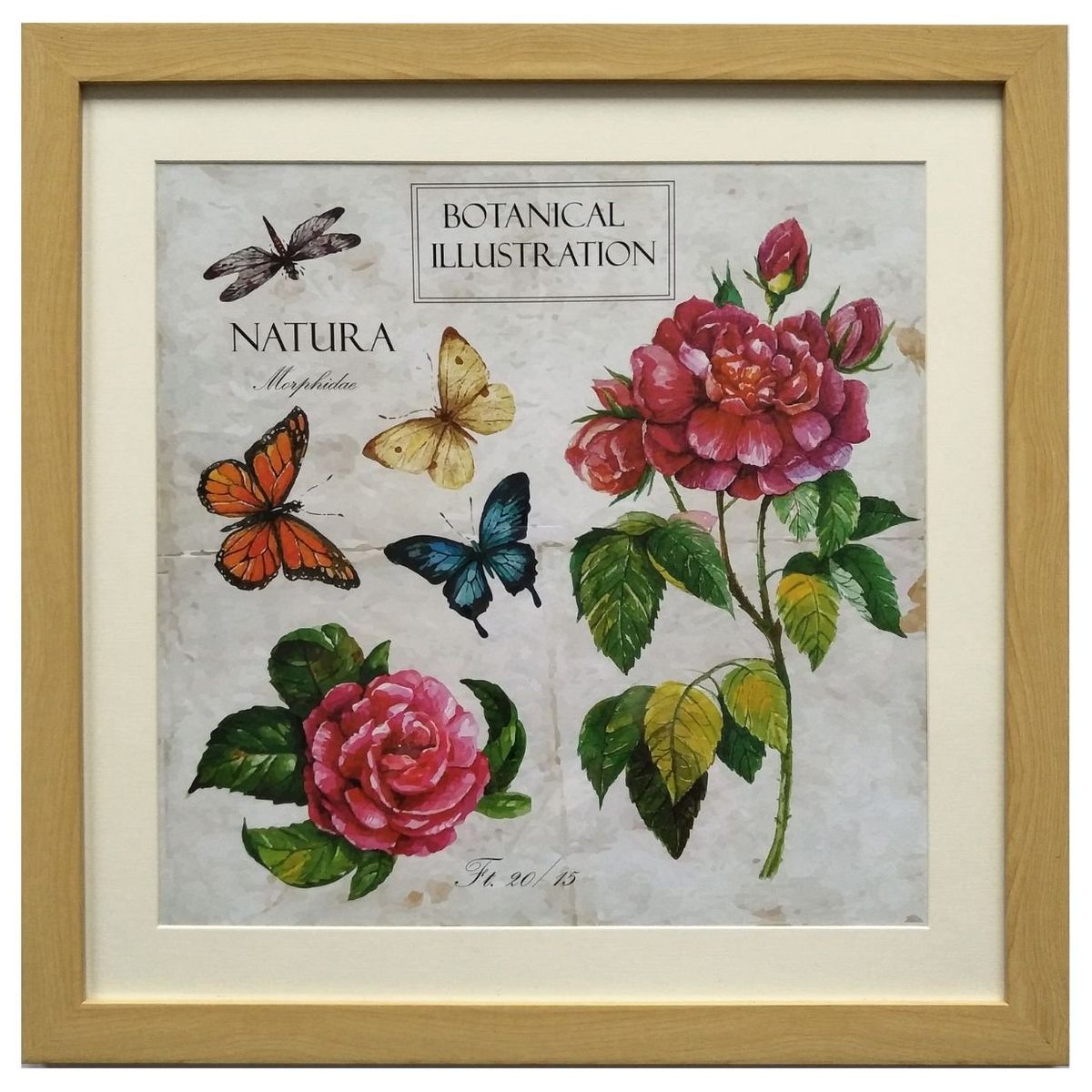 RONDA - Cuadro Lamina Flores Mariposa 50x50 cm