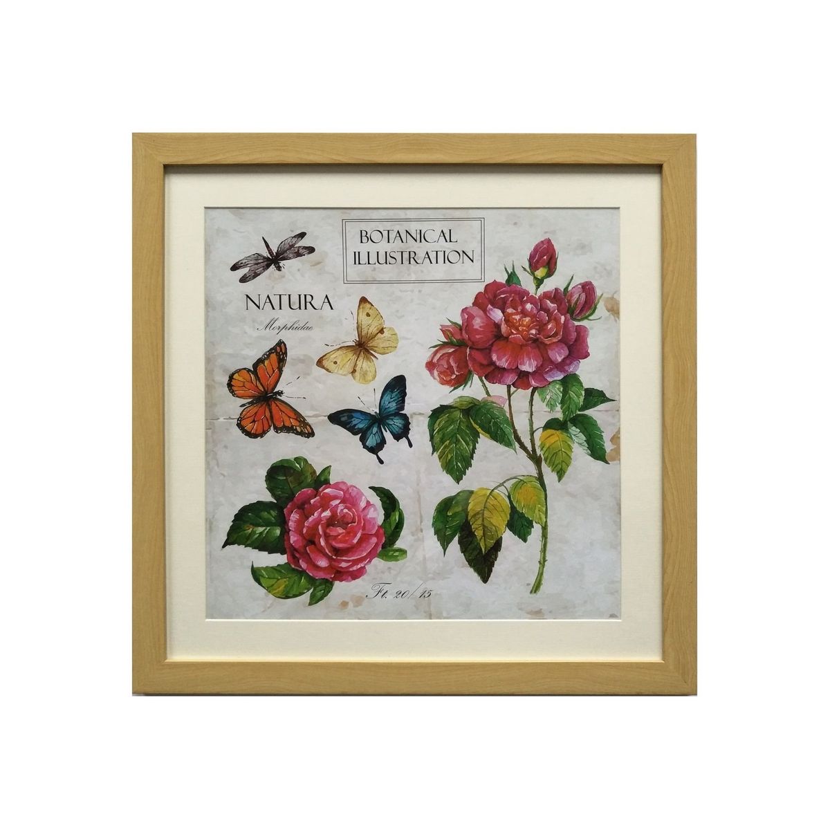 RONDA - Cuadro Lamina Flores Mariposa 50x50 cm