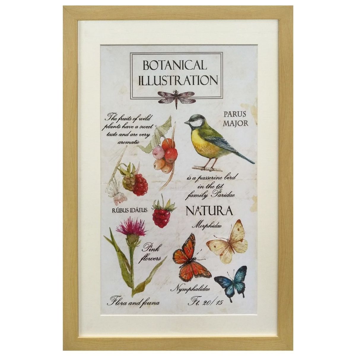 RONDA - Cuadro Lamina Pajaro Flores 40x60 cm