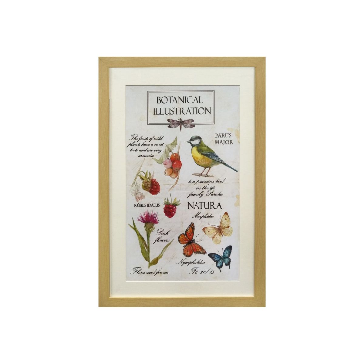 RONDA - Cuadro Lamina Pajaro Flores 40x60 cm