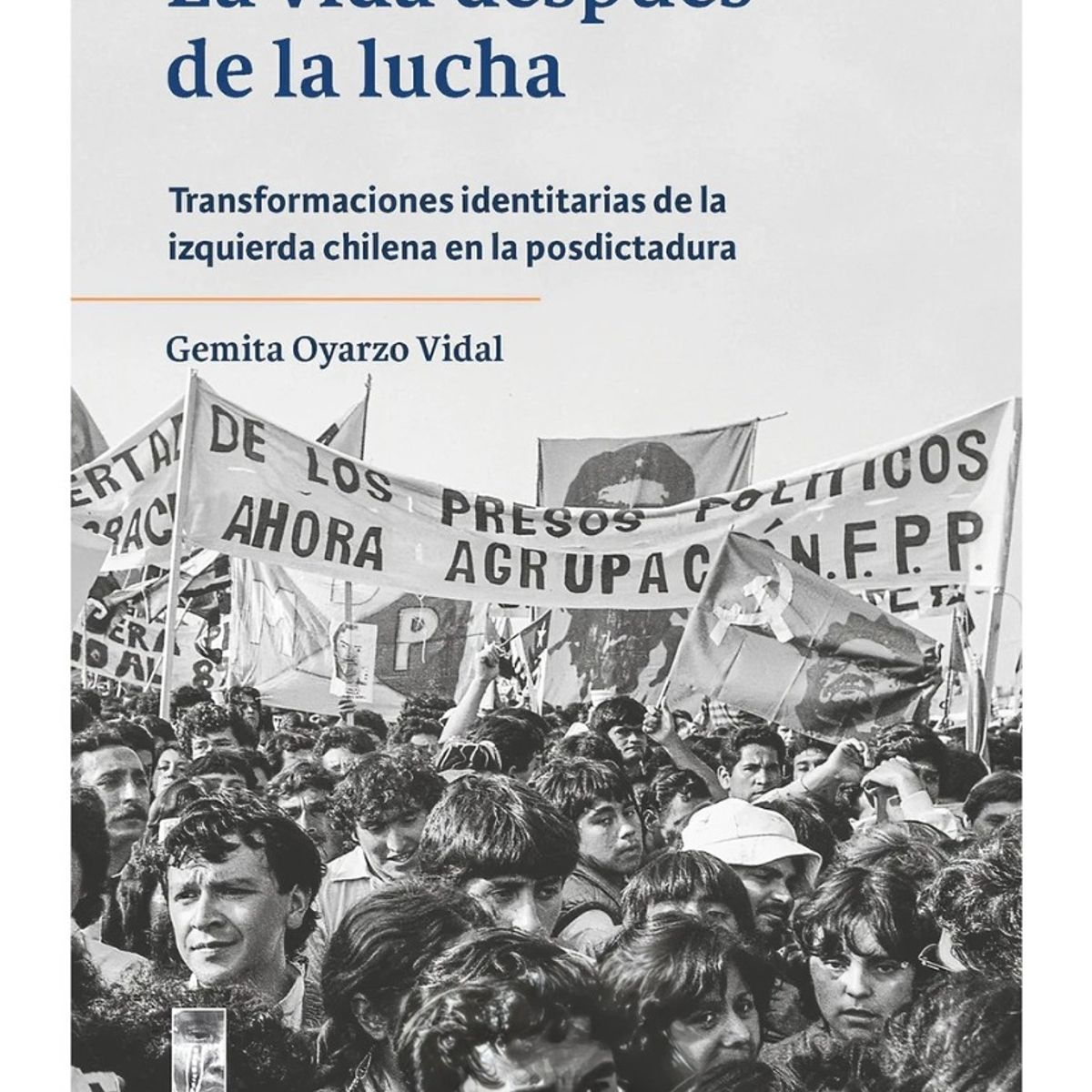 TOP10BOOKS - LIBRO Vida Despues De La Lucha - Vida Despues De La Lucha