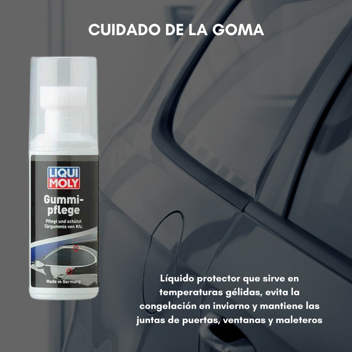 LIQUI MOLY - Limpiador protector para gomas liqui moly Gummi-pliege 5ml