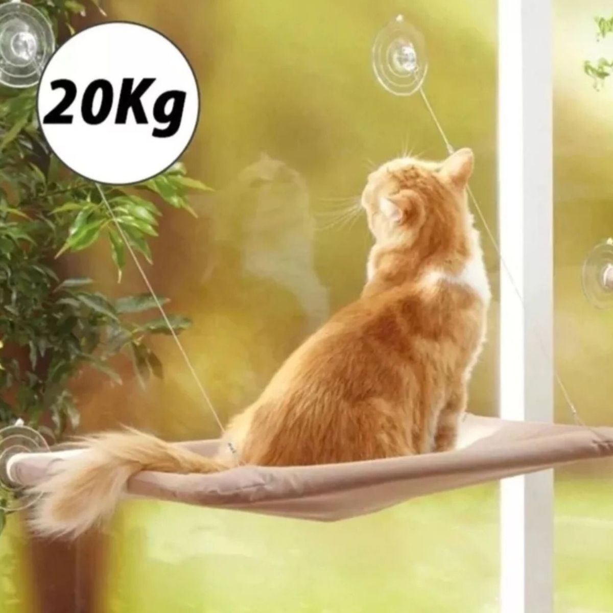 GENERICO - Cama Hamaca Para Gatos Colgante de Ventana