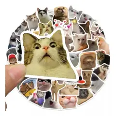 BIGBAMSPACE - Gatibara Gatybara Gatitos Set De Stickers 50 Pegatinas