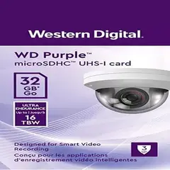 BIGBAMSPACE - Tarjeta De Memoria Microsd Wdd032gb Purple Western Digital