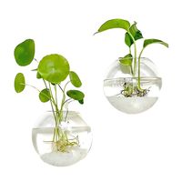 Pack 2 Macetas De Vidrio Colgante Transparente Pared 13cm