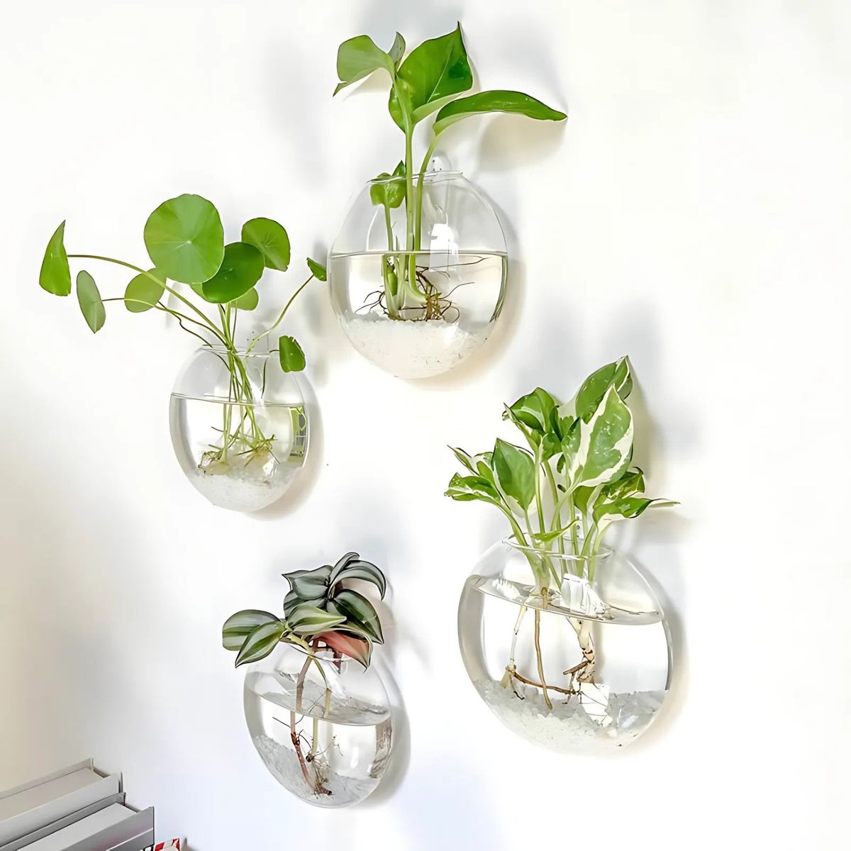 CRUSEC - Pack 2 Macetas De Vidrio Colgante Transparente Pared 13cm