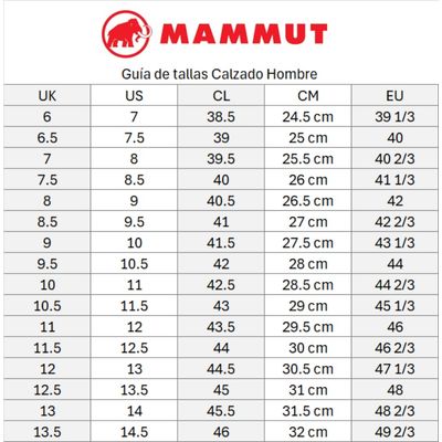 Imagen 2 del producto Zapatilla Mercury Iv Low Gtx Negro