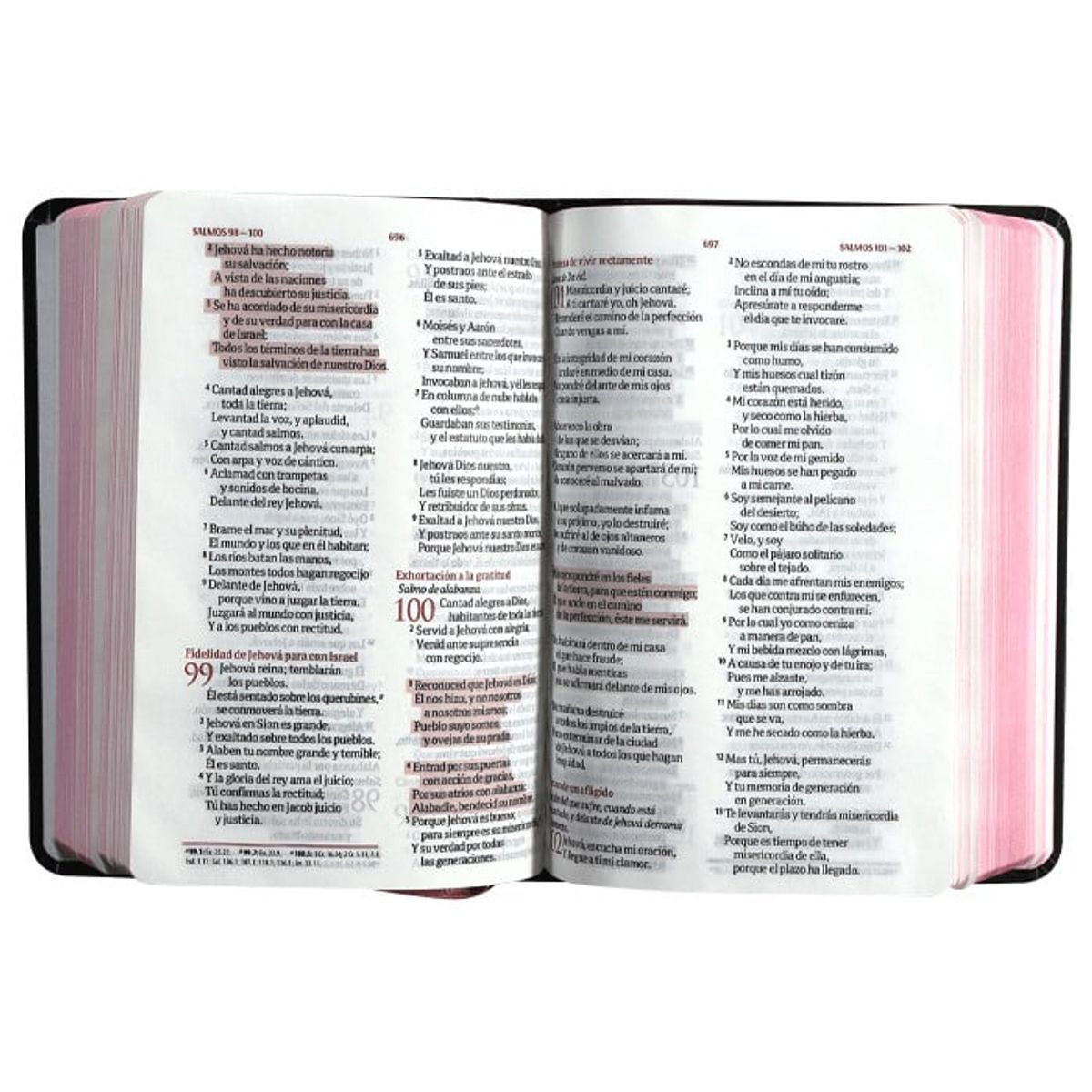 SOCIEDADES BIBLICAS UNIDAS - Biblia Fuente de Bendiciones Reina Valera 1960 9 puntos Tapa Dura con Flores